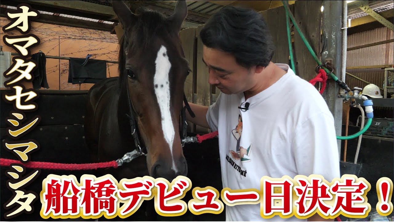 【馬主】愛馬オマタセシマシタの船橋デビュー日が決定！気になる鞍上や距離は…！？