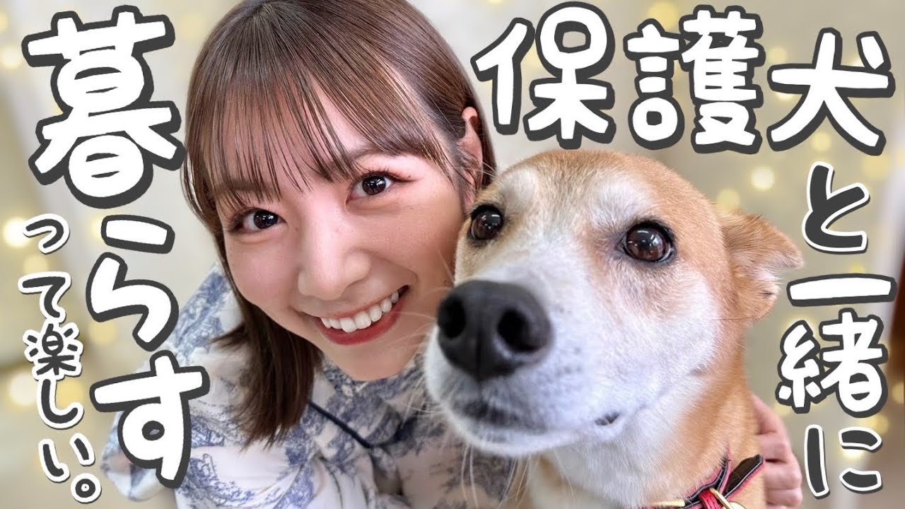 「保護犬と生活する」ということ。