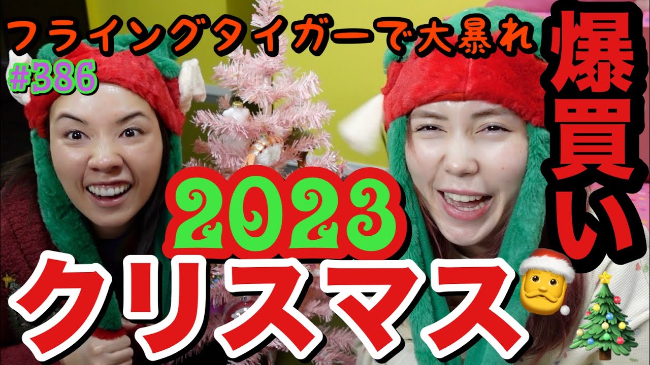 クリスマスの準備という言い訳でただ爆買いした師走の疲れがでまくってる仲里依紗を晒しますメリクリ🌰