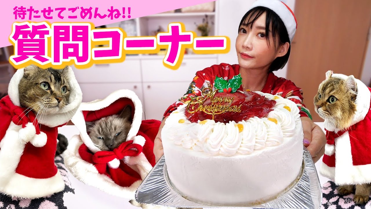 【メリークリスマス】愛する家族と過ごすクリスマス♡ケーキを食べながら質問に答えるよ！【木下ゆうか】