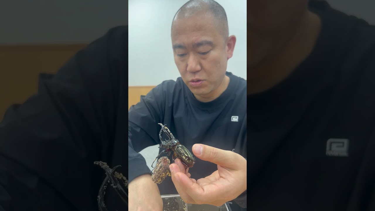 39歳の誕生日にカブトムシを貰って興奮するナダル