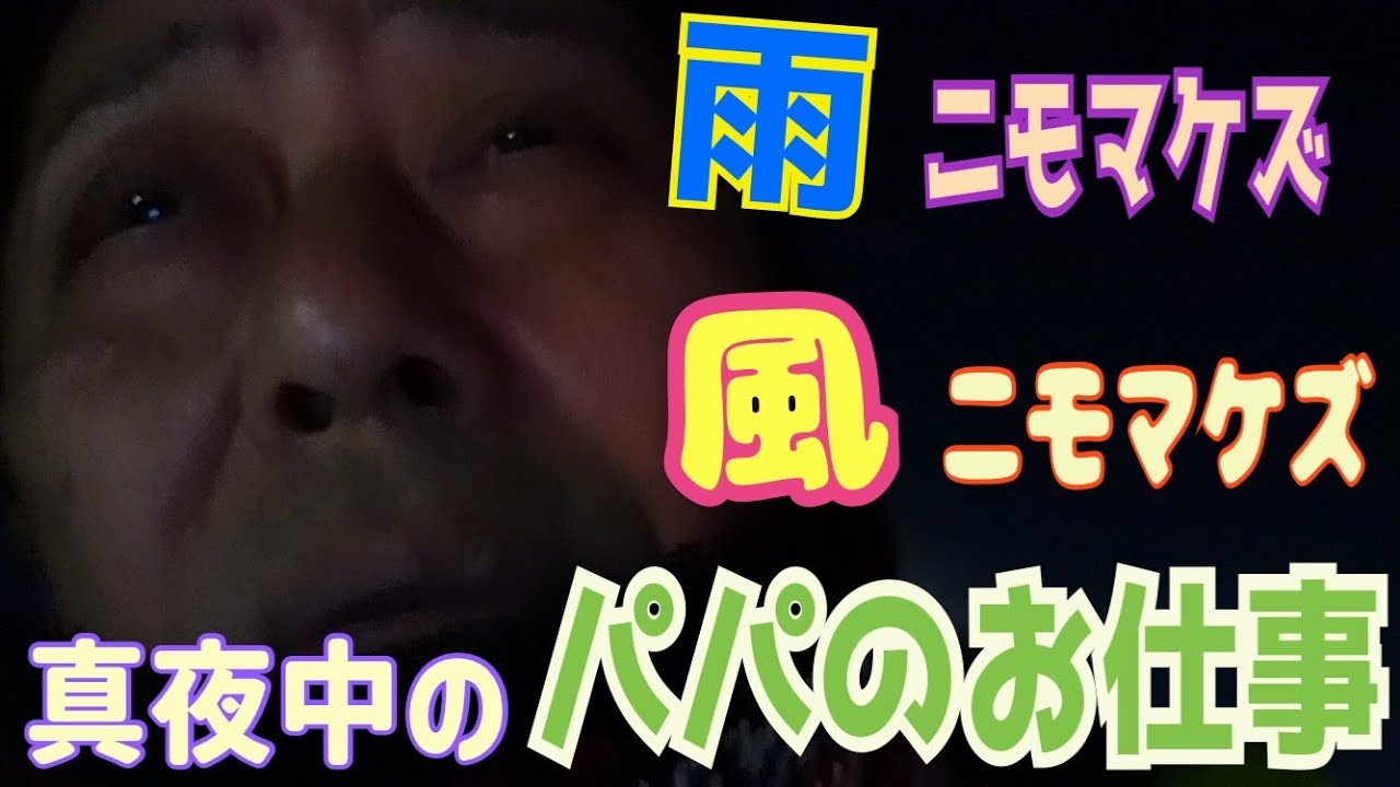 【TNR】保護し、手術し、さかがみ家へ〜終わりなきパパの奮闘〜