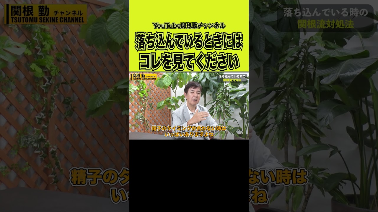 人生に疲れたら見る動画#shorts