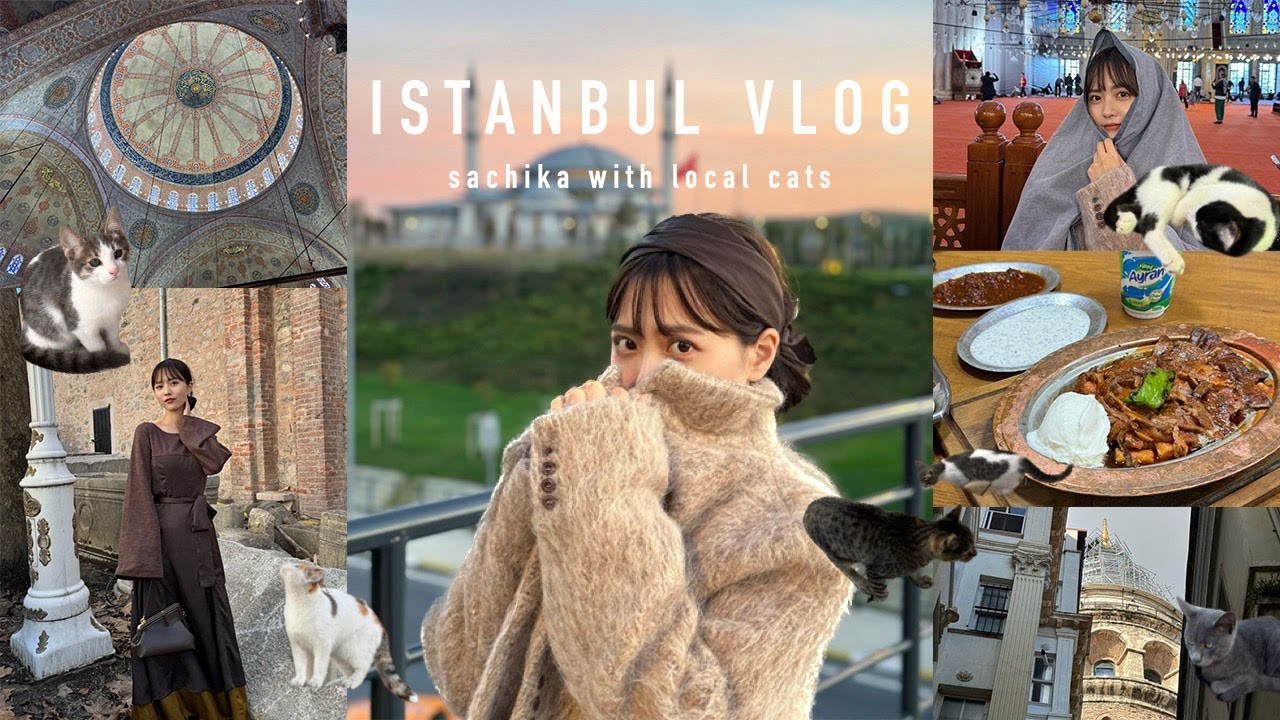 【イスタンブールVlog】トルコの都会をぶらり！現地のねっこに癒され旅🐈🐈