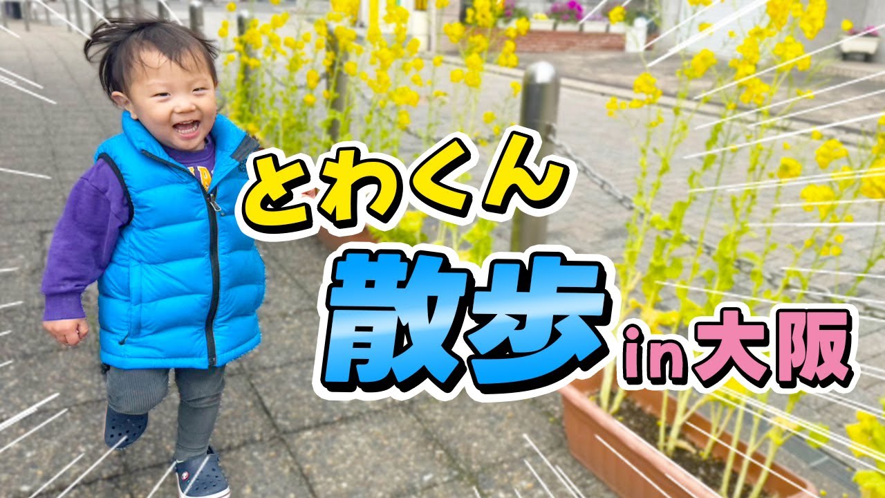 【癒し】2歳になったとわくんのお散歩に密着！パパの地元を巡りました