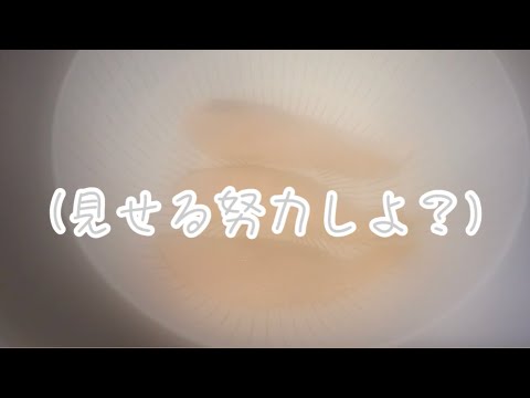 【手料理】お椀の献立に悩んだら【汁もの篇】