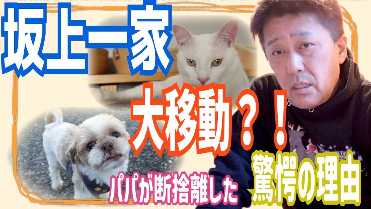 断捨離中に起きた猫舎事件！リョーマの推理で犯人は明らかに？そしてついに明かされる断捨離のワケ！