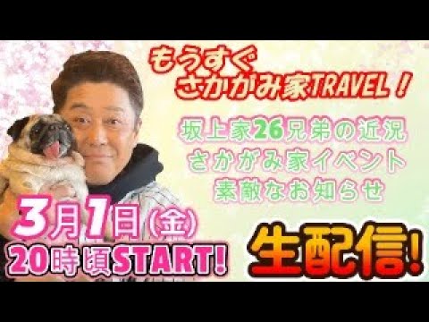 【生配信】３月１日(金)よる２０時頃～配信スタート！さて本日のゲストワンコは誰でしょう！？今回も素敵なお知らせが盛りだくさん！もうすぐさかがみ家TRAVEL！