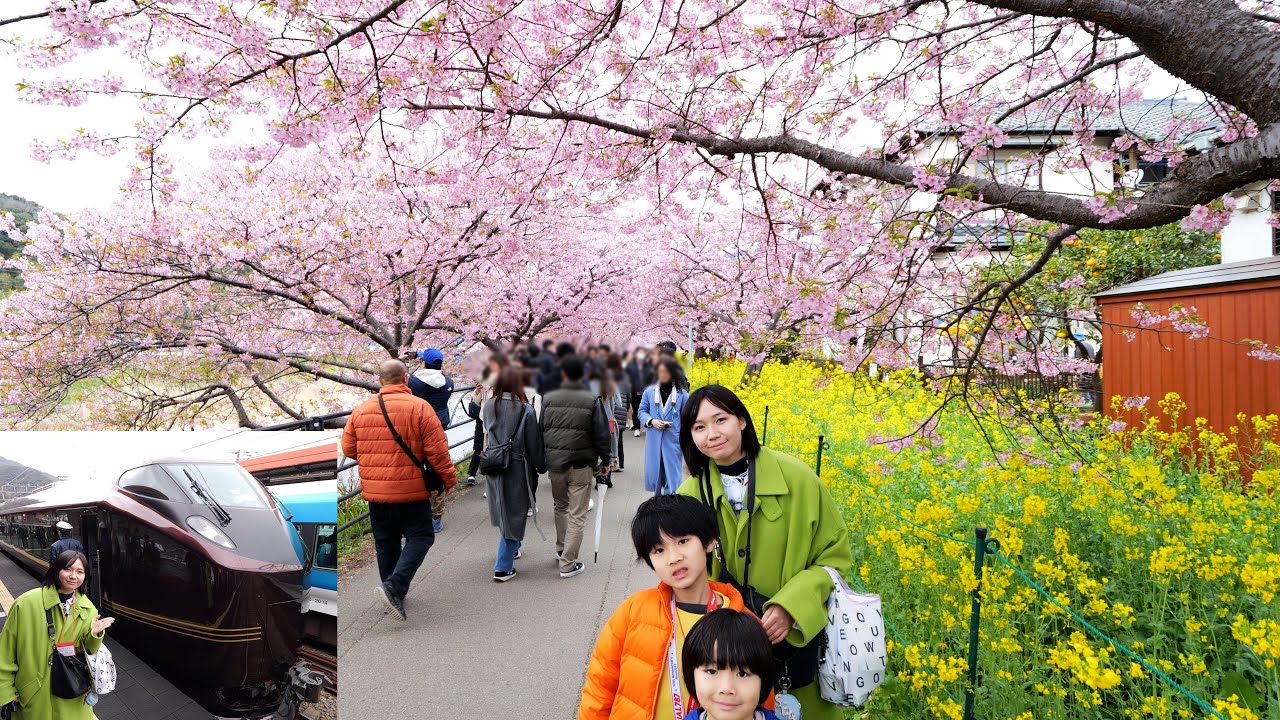 なごみ（和）に乗って河津桜まつりに行ってきた