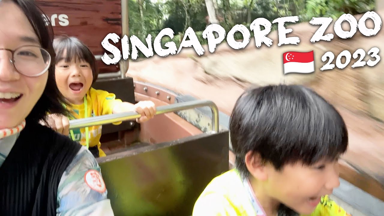 シンガポール動物園に行ってきた🇸🇬 Singapore Zoo 2023 シンガポール Singapore 2023#3