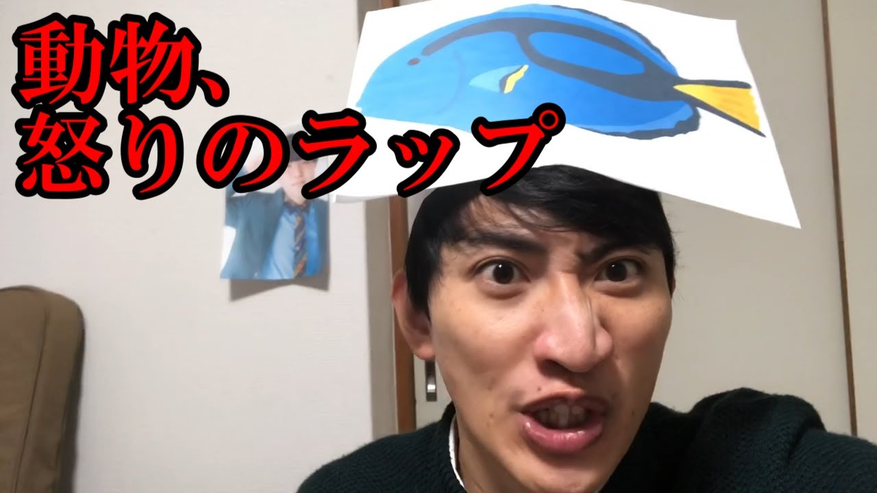 動物による告発のラップ