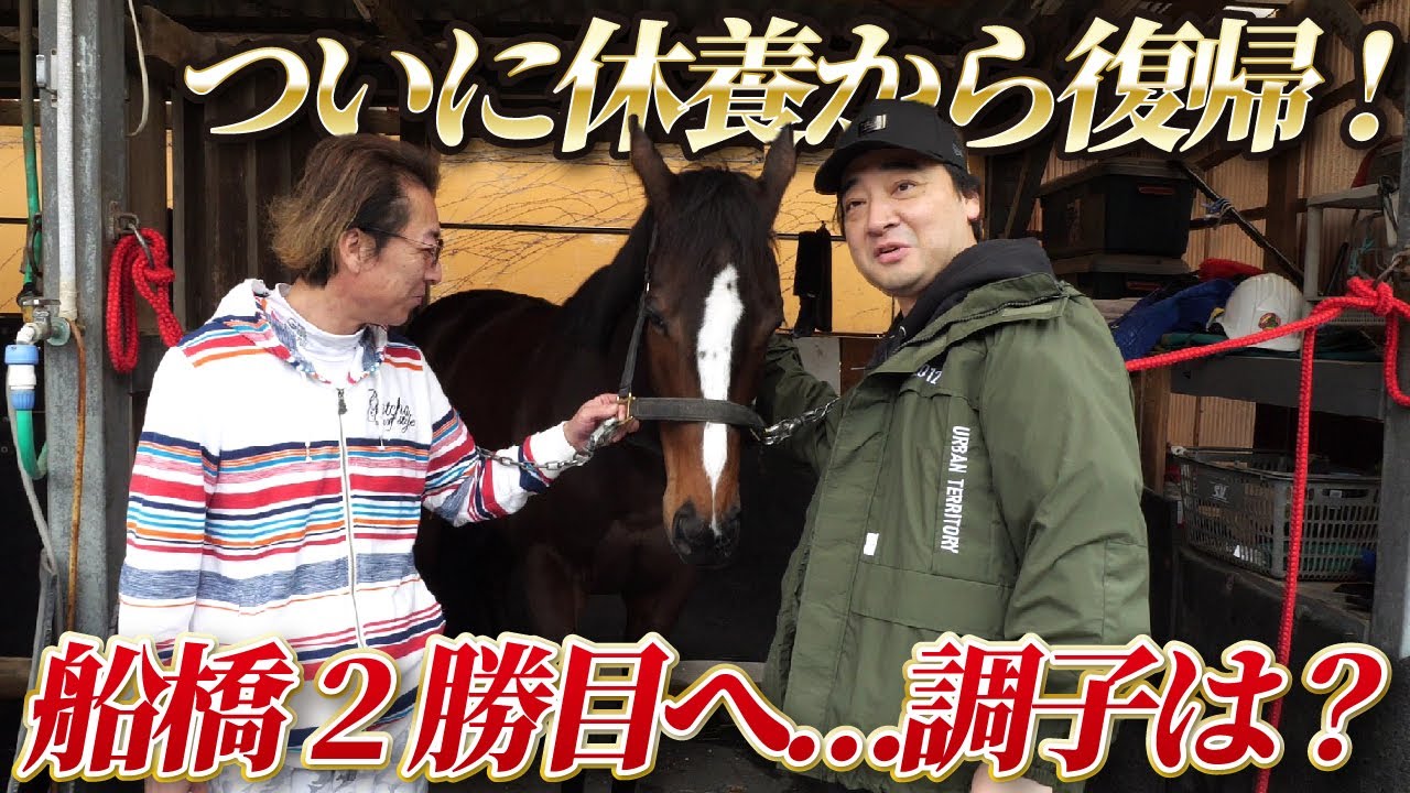 船橋連勝をかけてオマタセシマシタが復帰！”馬主”斉藤が出走直前の愛馬に会いに行きました