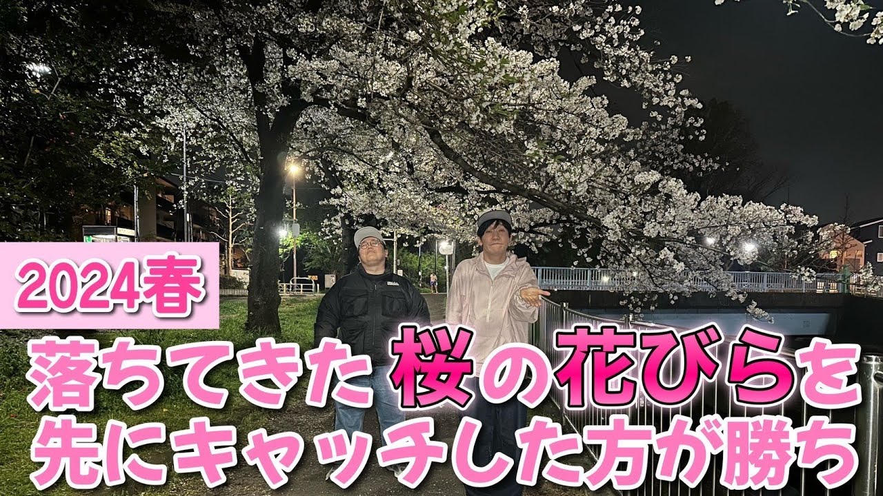 落ちてきた桜の花びらを先にキャッチした方が勝ち選手権 2024春