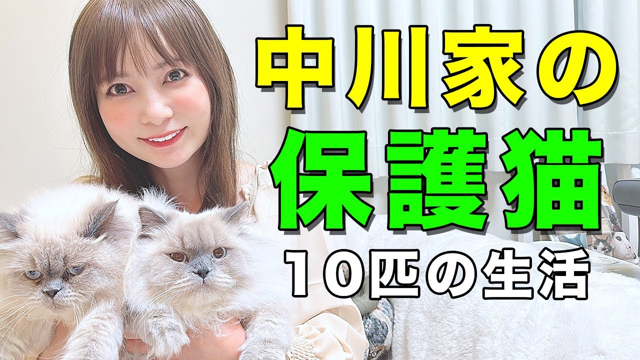 【保護猫】全10匹の猫ハウス！みんな大きくなりました！