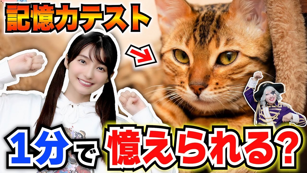 猫ガチ勢まりんかと1分でにゃんこ画像を覚える記憶力テストをやった結果――