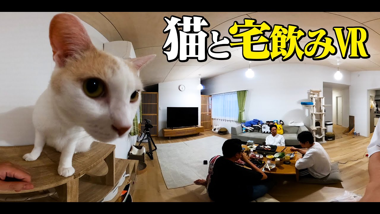 【宅飲みVR】猫&おじさん芸人達と、まるで一緒に肉を焼いてるような没入感で、だらだらお酒を飲む動画