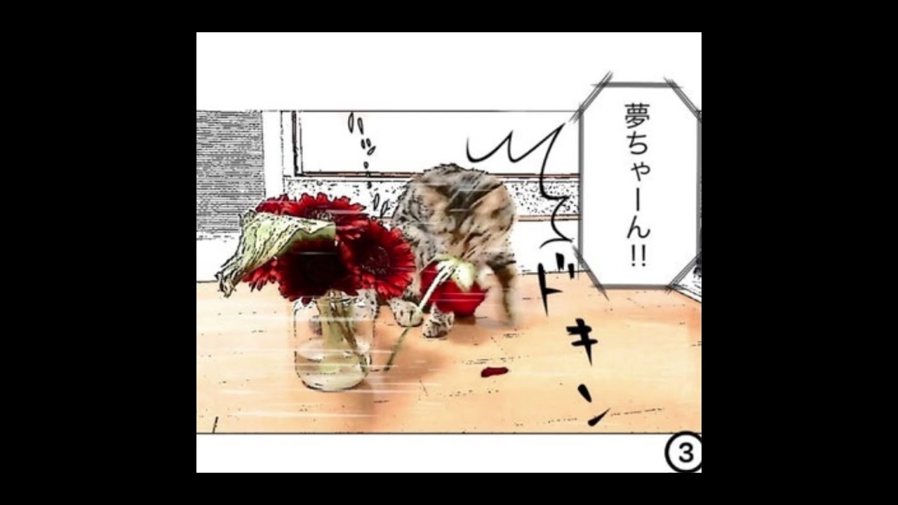 4コマ風漫画「夢ちゃんの１K８畳３人暮らし」第4話バラの花