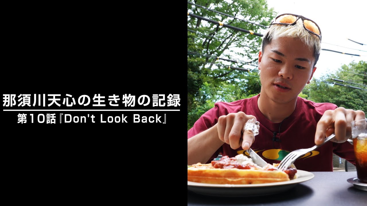 那須川天心の生き物の記録　第10話 『Dont Look Back』
