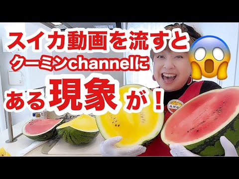 今シーズン14玉＆15玉目！『どすいか』と『金色羅皇』【キッチンdeトーク】