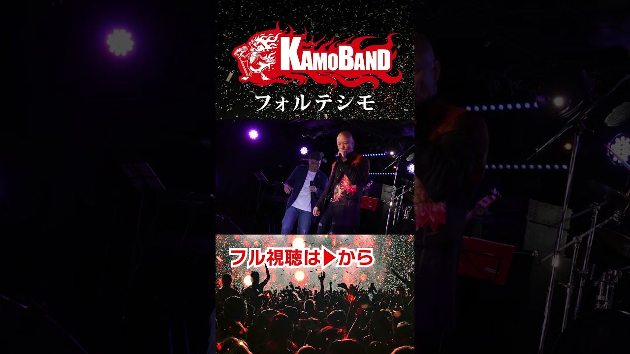 フォルテシモ04 KAMOBAND ジョージ#HOUNDDOG