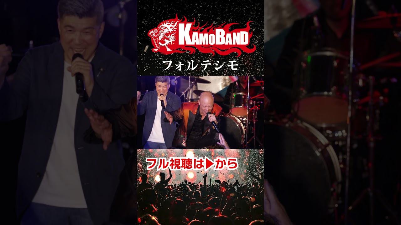 フォルテシモ05 KAMOBAND ジョージ#HOUNDDOG