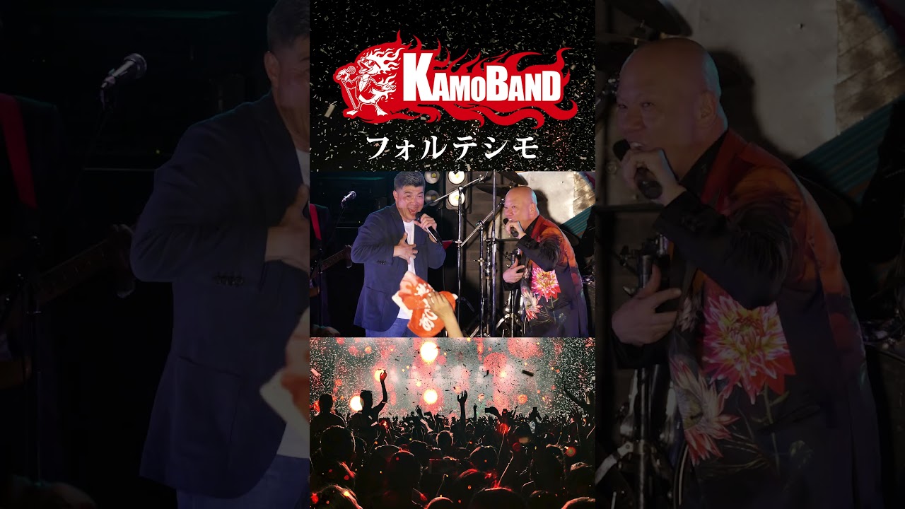 フォルテシモ05 KAMOBAND ジョージ#HOUNDDOG