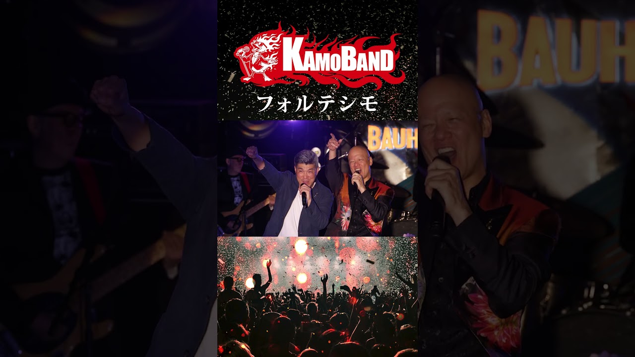 フォルテシモ07 KAMOBAND ジョージ#HOUNDDOG