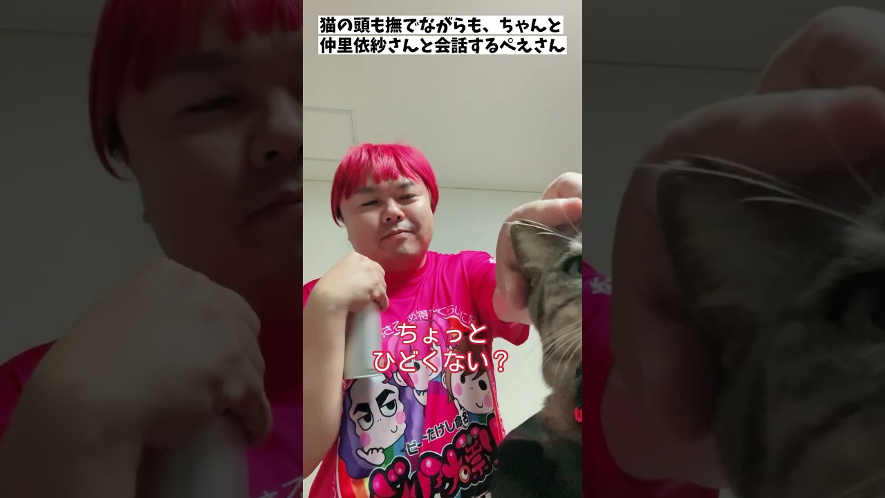 猫の頭も撫でながらも、ちゃんと仲里依紗さんと会話するぺえさん