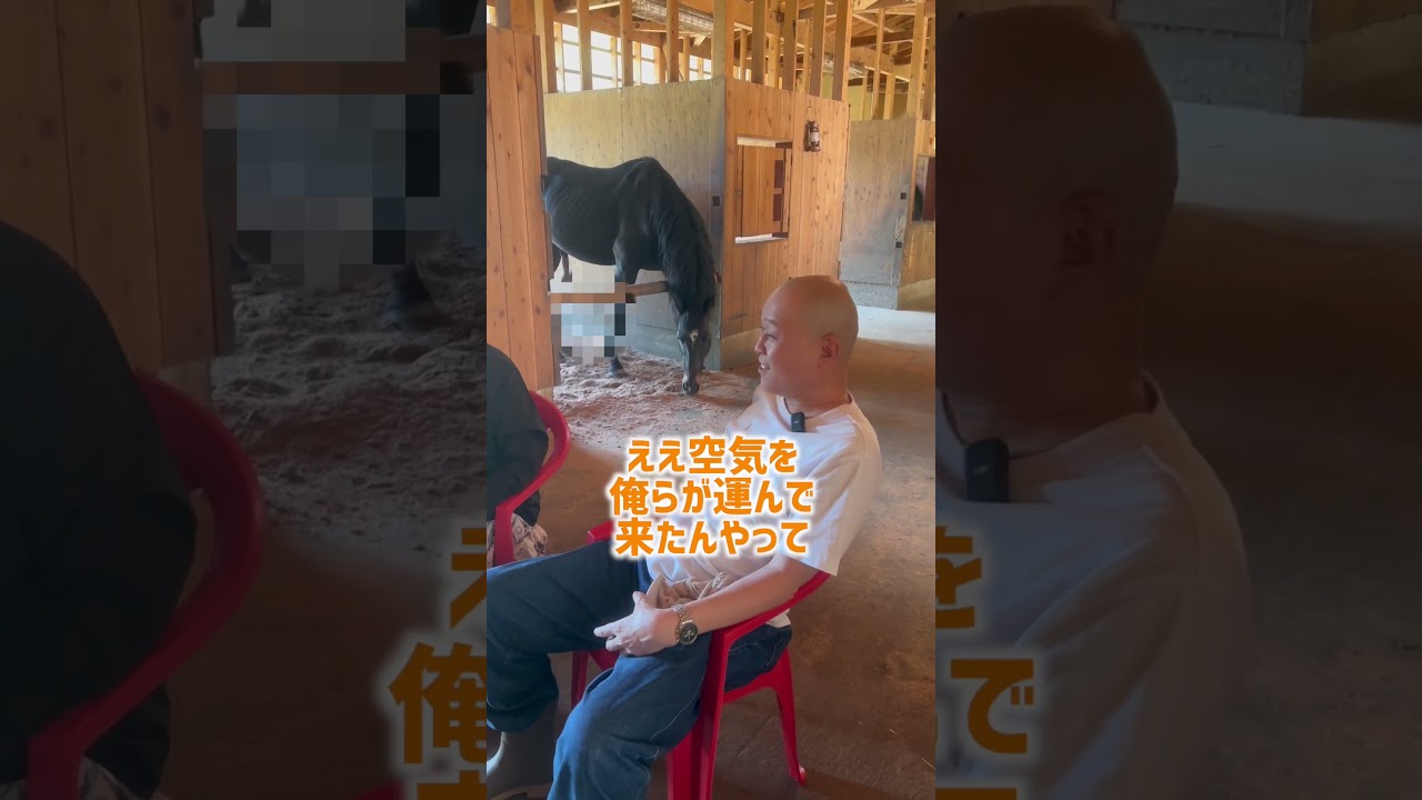 せいじさんを見て老馬が勃起する決定的瞬間　って話　#shorts 　   #動物         #競走馬