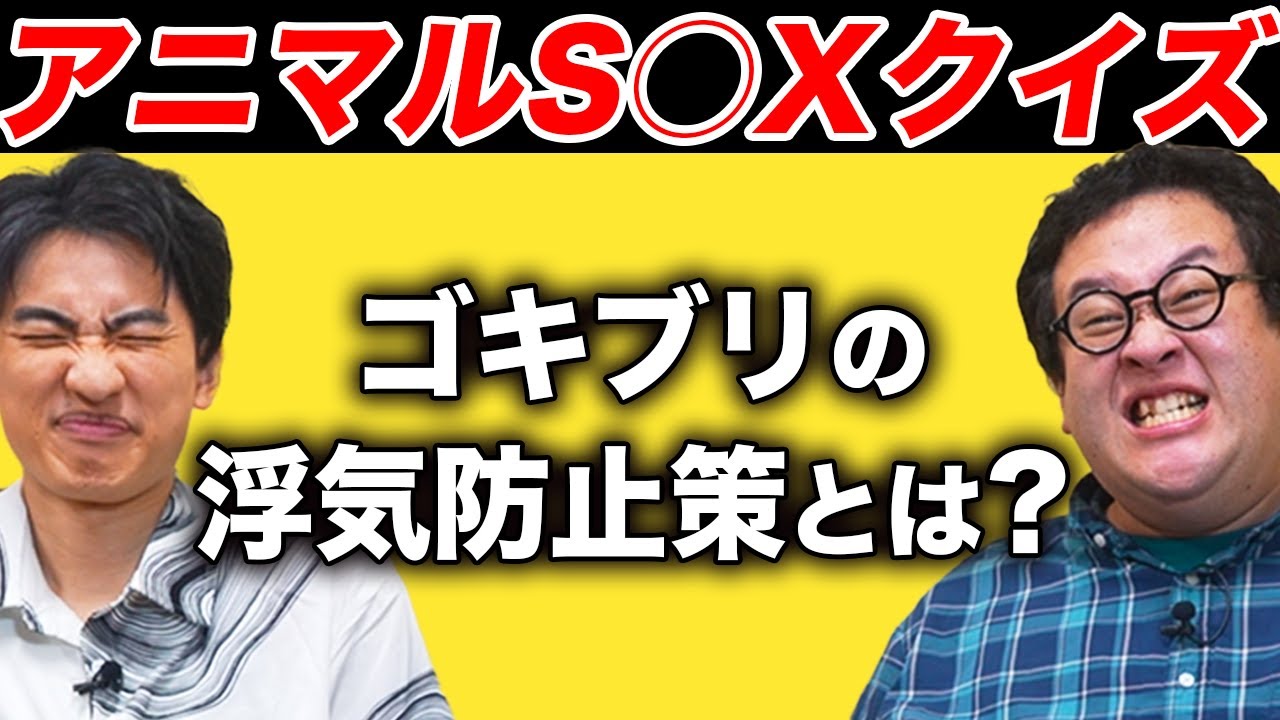 【セイのアニマルクイズ】動物界の非モテから生き抜く術を学ぼう！動物たちの変すぎる生態【第8弾】