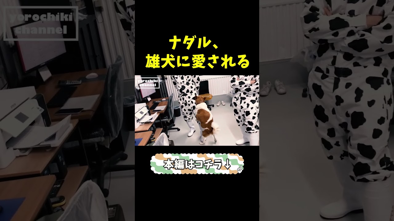 なんかわかる気もする、犬の行動 #shorts