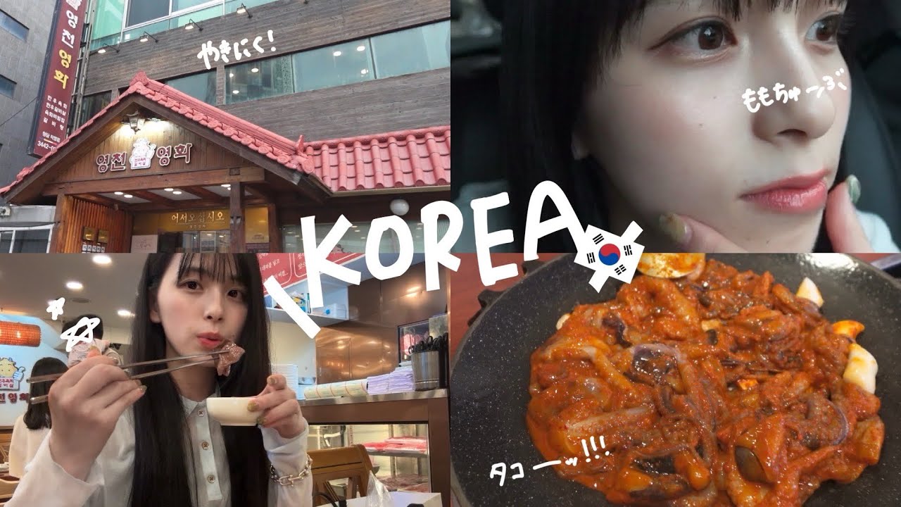 辛。韓国出張旅【vlog#5】