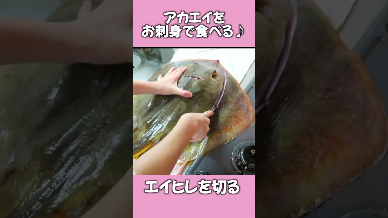 エイを捌いてお刺身で食べる #魚捌く