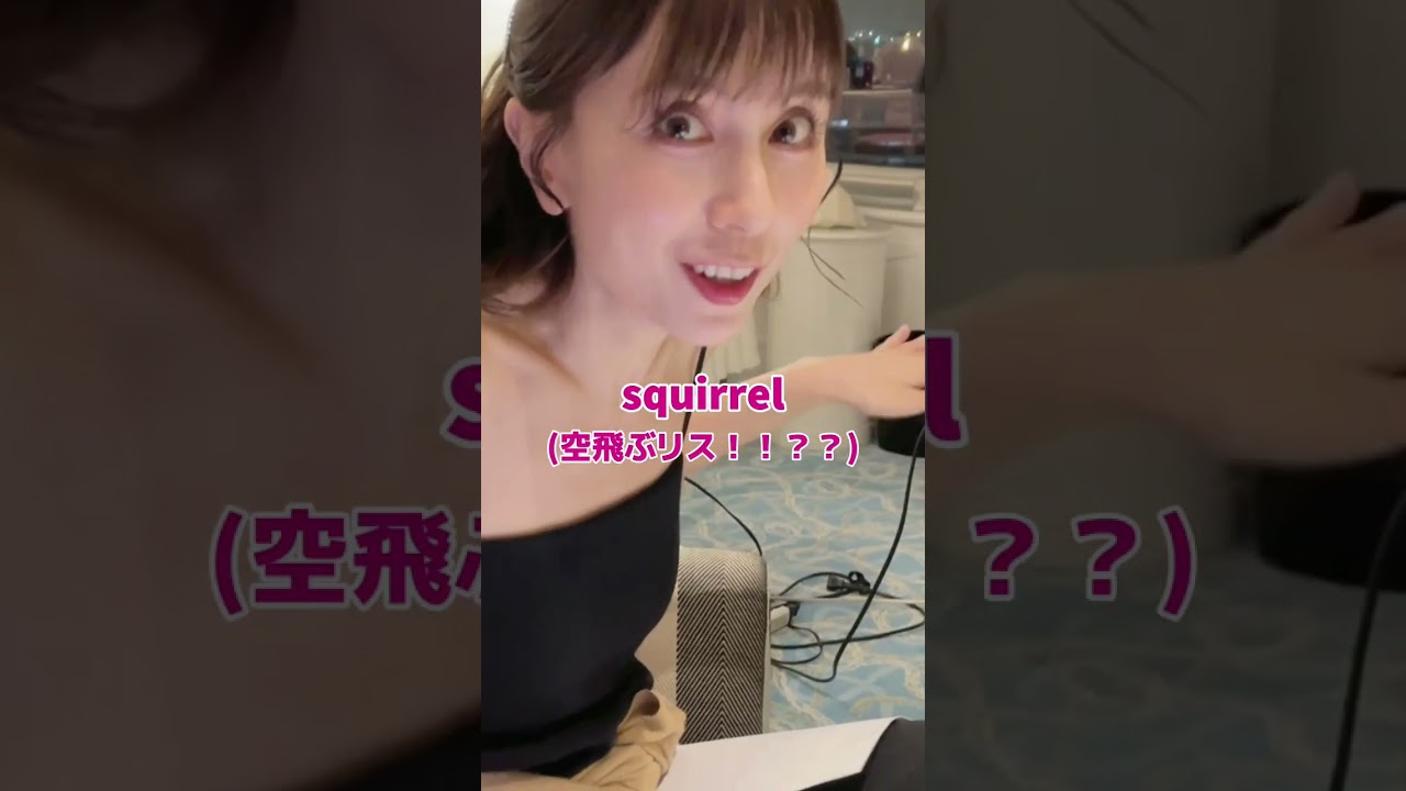 みんな知ってた？？🐿️#mayj #mayj 全部英語で言えるかな #英語 #英会話 #english #englishspeaking #shorts