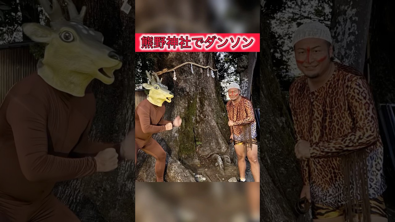 伊豆の熊野神社の御神木からパワー頂きました #バンビーノ #ダンソン #御神木 #shorts