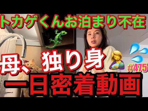 トカゲくんがお泊まり不在で母、休業日だったから一日独り身vlog撮ったけどまじで最後に恐怖の爆弾雄叫びダッシュくらってまじ疲れた草