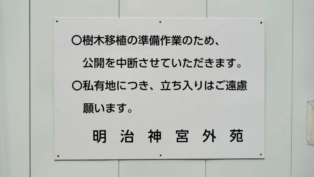 神宮外苑 樹木伐採今日にも開始か 「自然を売り災害で払う」抗議する市民の声