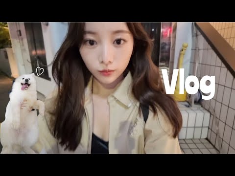 【VLOG】韓国メイクサロンで可愛くしてもらったり🙂‍↕️♡念願のサモエドに会えて可愛いしか言ってない