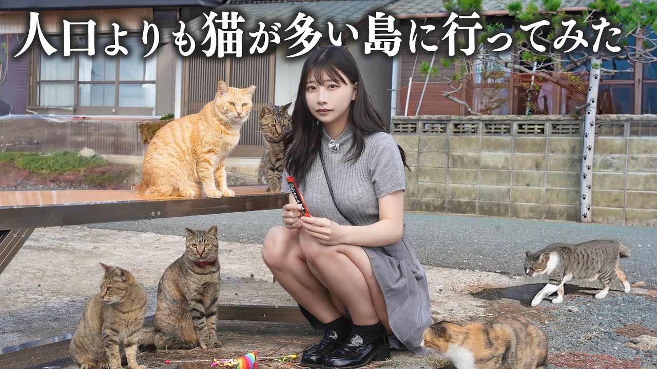 人口より猫が多い猫島に行ったら、想像以上に猫まみれだった…