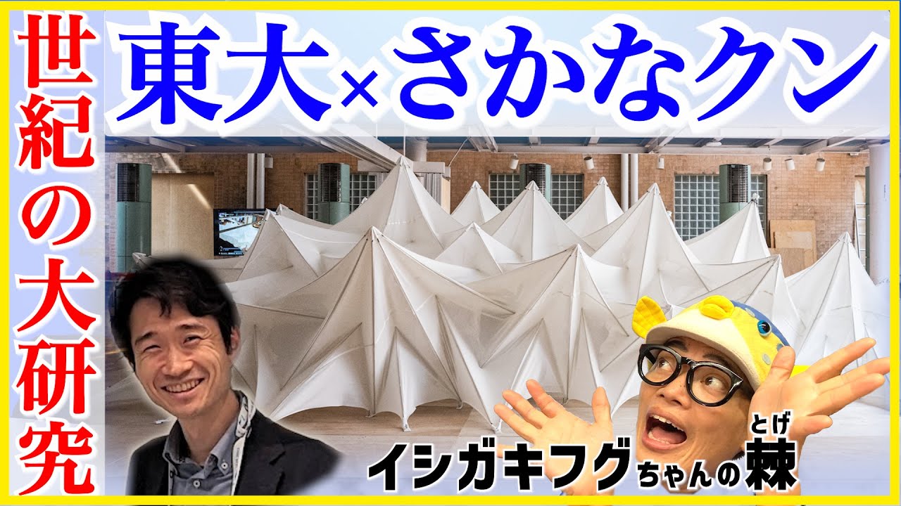 【東大教授が絶賛】イシガキフグの●●が世界を救う?!東京大学教授×東京海洋大学准教授との緊急対談レポート