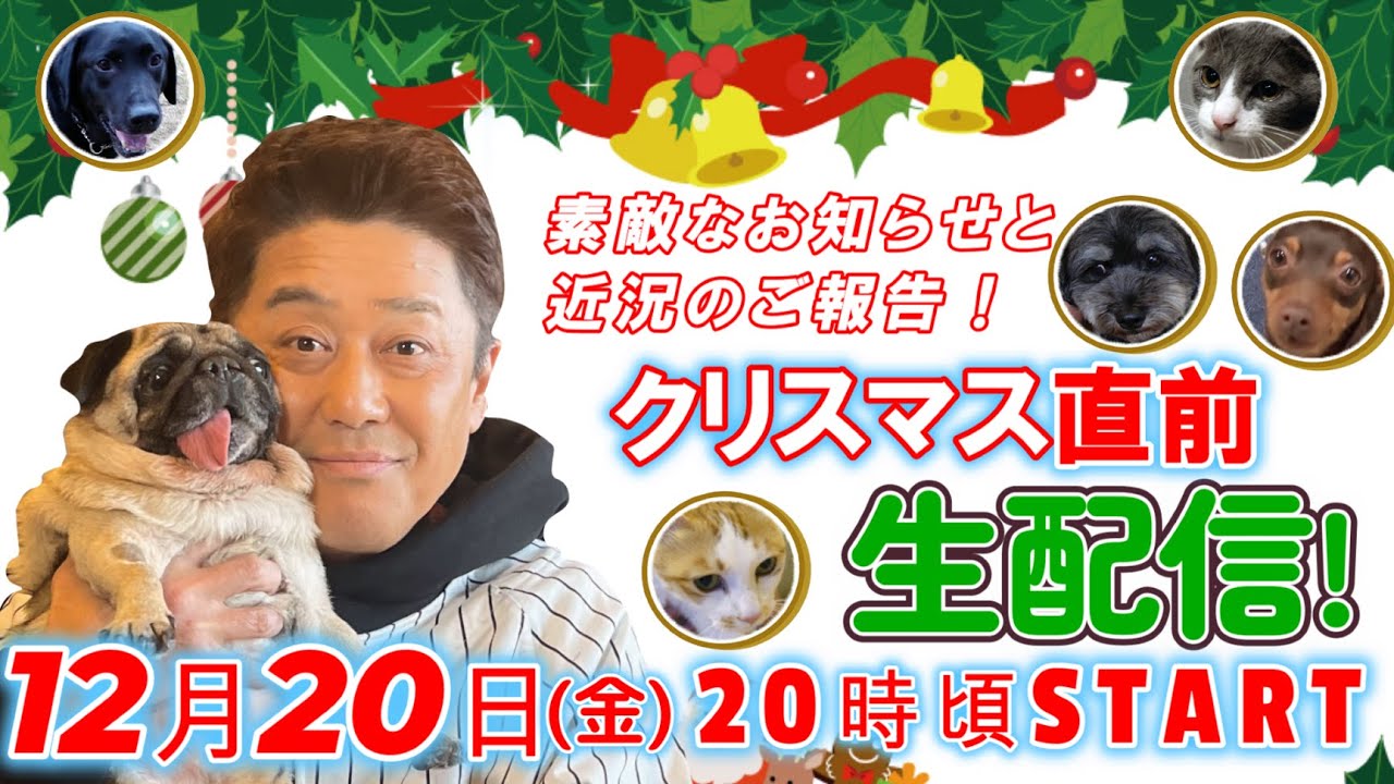 【クリスマス直前生配信！】１２月２０日（金）よる８時頃スタート！