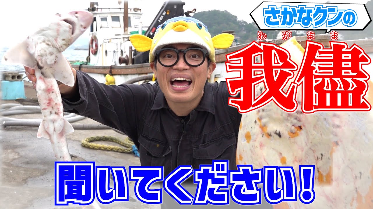 いつでも！どこでも！お魚が食べたい！そんな方法はコレしかありません！