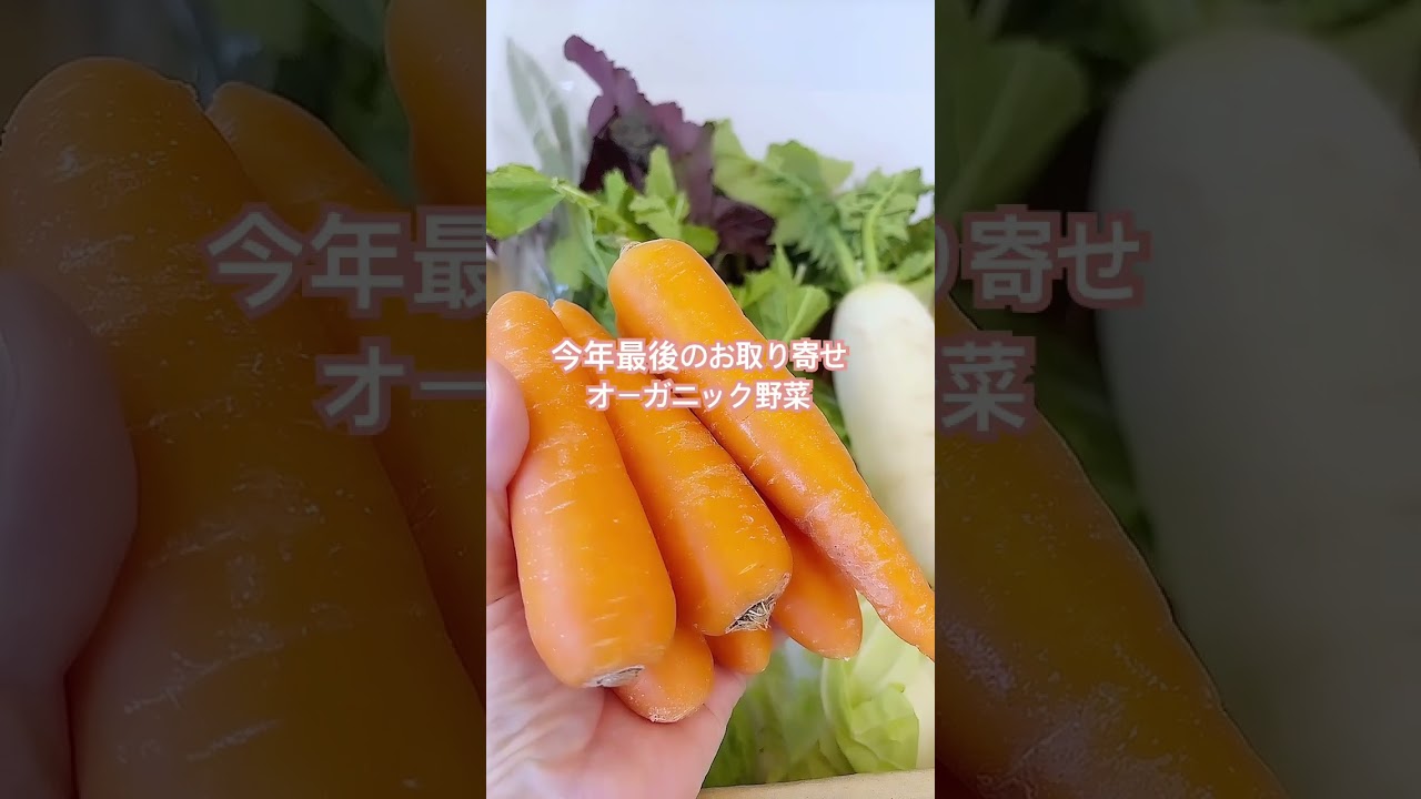 お取り寄せお正月料理に新鮮なお野菜、沢山添えましょ💖お買い物幸せな締めくくりになりました　　　　#shorts #繁昌農園 #オーガニック野菜 #お正月料理 #青梅の野菜