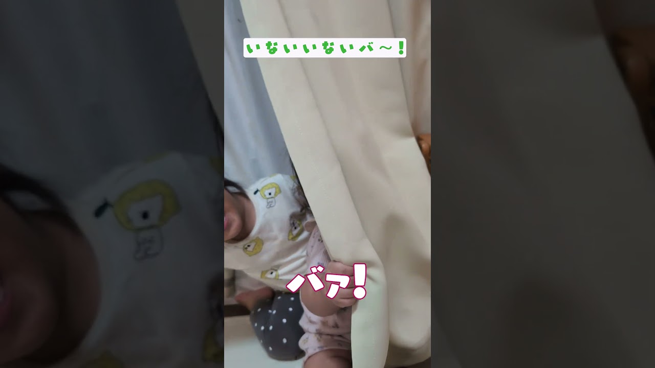 カーテンは最強の遊びアイテムですッ😆