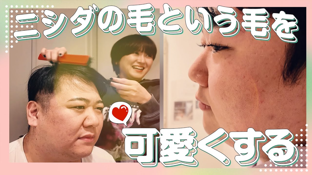 ニシダの毛という毛を可愛くする