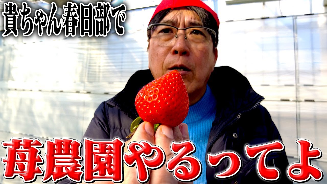 苺大好き貴ちゃん✨春日部にいちごハウス購入か⁉️