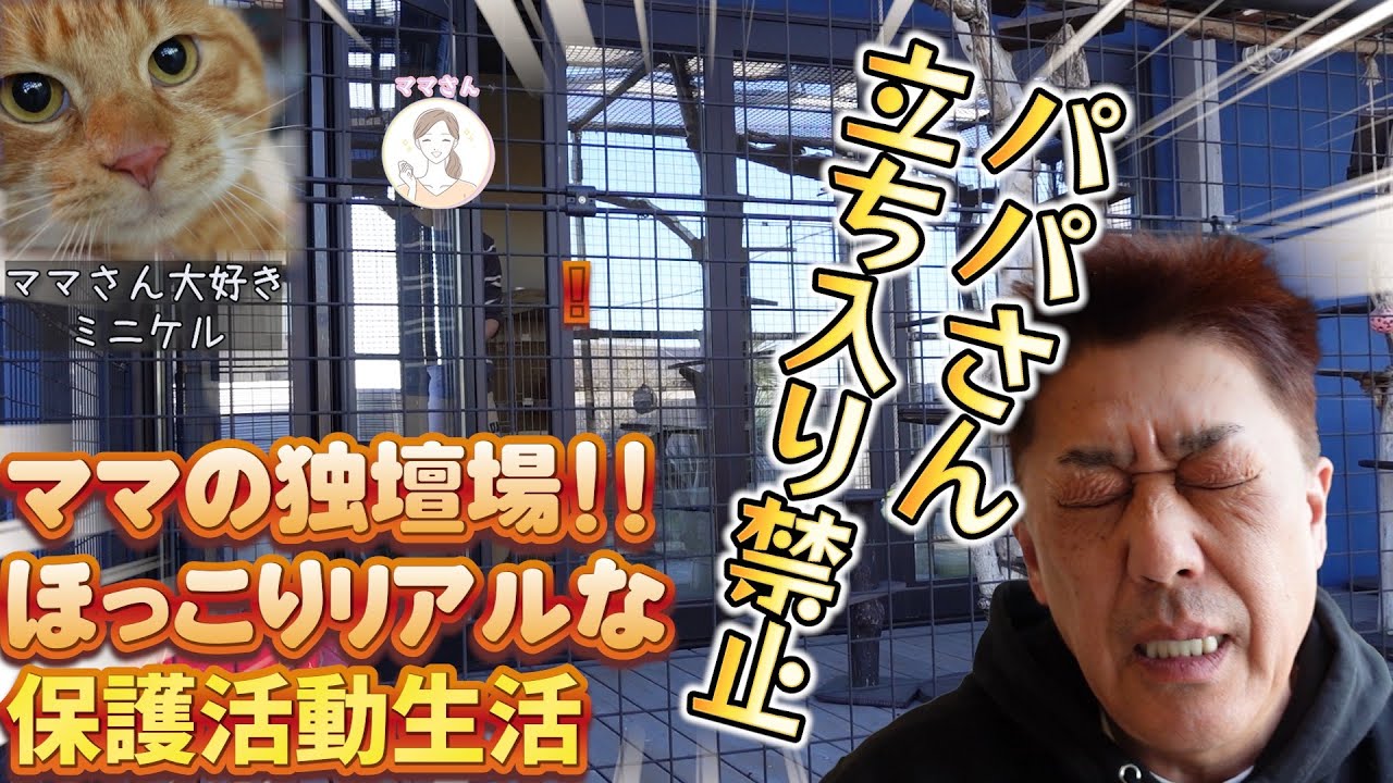 体はビッグ！心はデリケート。凡ちゃんの繊細な日常に密着