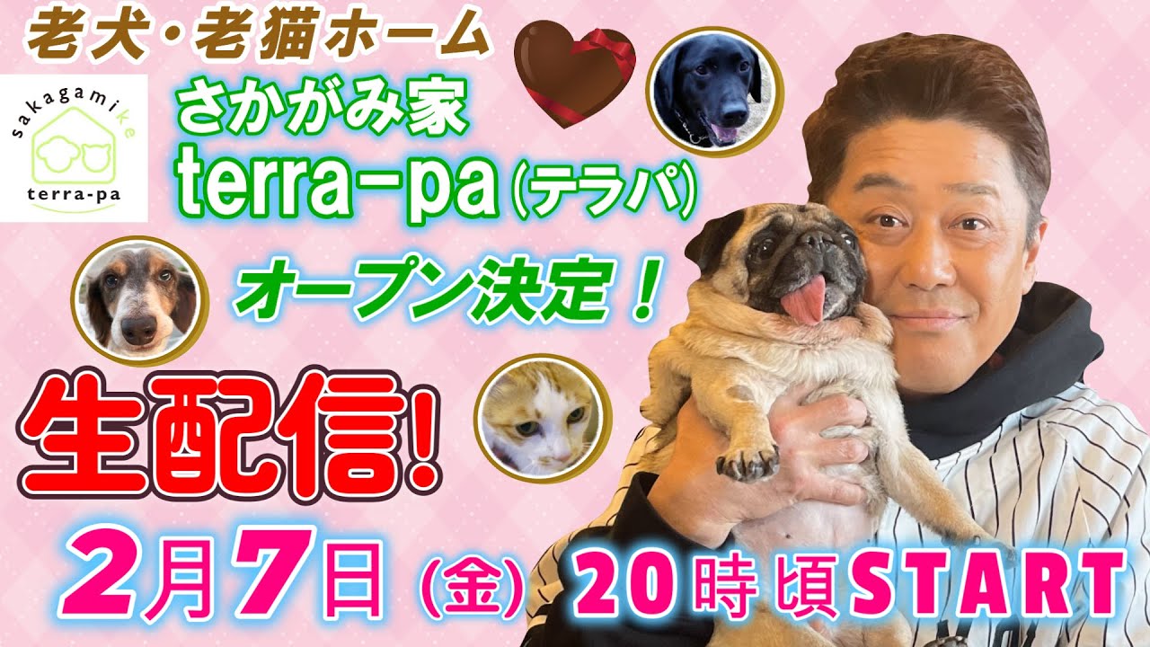 ２月７日(金)２０時頃～２７兄弟達と生配信！『老犬・老猫ホーム』オープン決定！バレンタイン企画や『さかがみ家』のファンネーム公募のお知らせ、等々、素敵なお知らせが盛りだくさん！