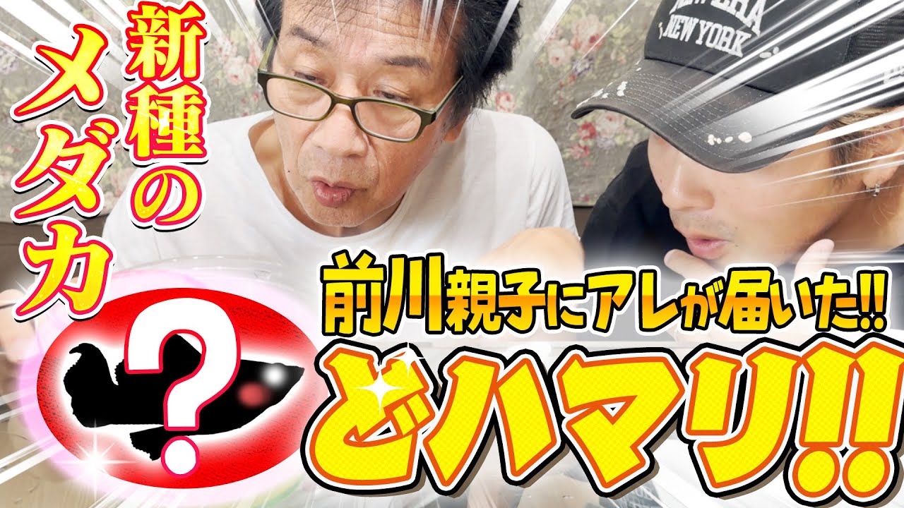 前川親子がどハマりしているアレが届いた！！