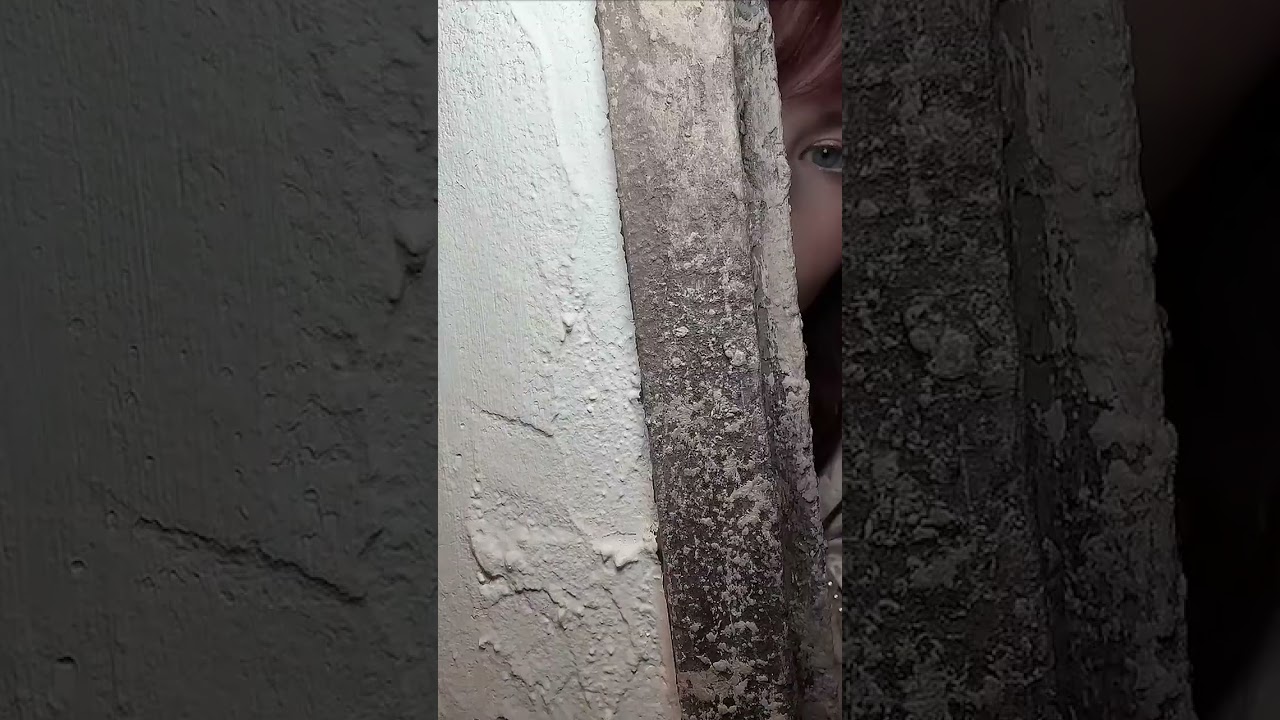 Black and White 🖤 🤍